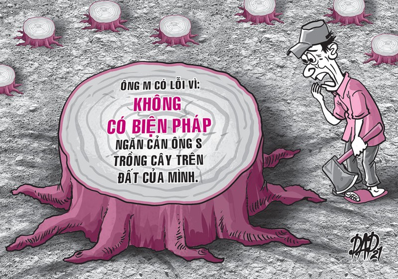 Bị kiện vì chặt cây người khác trồng trên đất của mình
